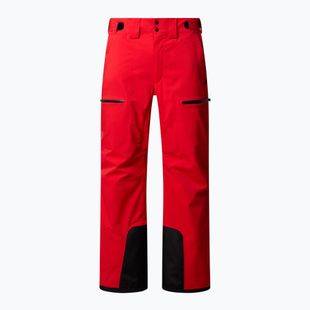 Vyriškos slidinėjimo kelnės The North Face Chakal Regular elevation red