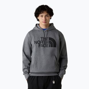 Vyriškas džemperis The North Face Easy Hoodie medium grey heather