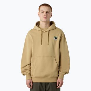 Vyriškas džemperis The North Face Mountain Logo Relaxed Hooded khaki stone