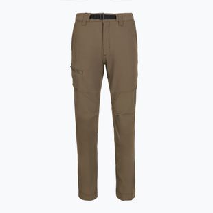 Moteriškos žygio kelnės Patagonia Terravia Peak - Regular marlow brown