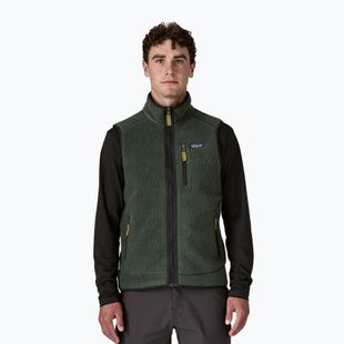 Vyriška liemenė Patagonia Retro Pile Fleece old growth green