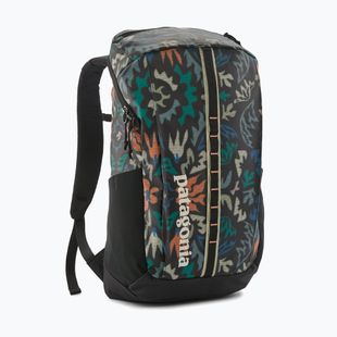 Miestinis kuprinė Patagonia Black Hole Pack 25 l kaleido/black