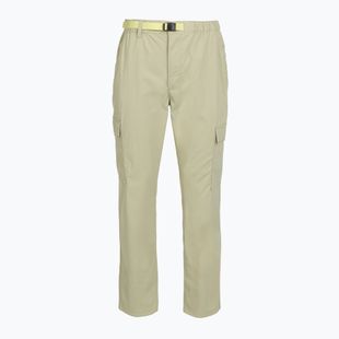 Moteriškos kelnės Patagonia Outdoor Everyday Cargo weathered stone