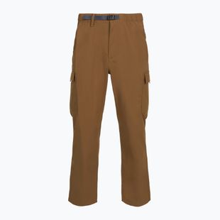 Vyriškos kelnės Patagonia Outdoor Everyday deer brown