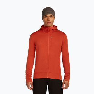 Vyriškas džemperis icebreaker Merino 260 Quantum IV Zip Hoodie agate