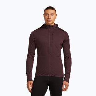 Vyriškas žygio džemperis icebreaker Merino 200 RealFleece Descender Zip Hoodie java