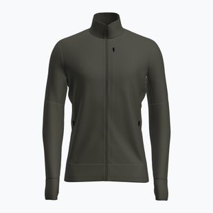 Vyriškas žygio džemperis Icebreaker Merino 260 Quantum IV LS Zip dark loden
