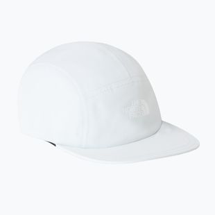 Vyriška kepurė su snapeliu The North Face GTX Ballcap pearl stone