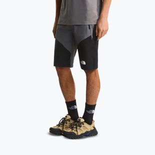 Vyriški žygio šortai The North Face Felik Slim Tapered Short smoked pearl/tnf black