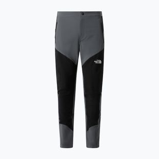 Vyriškos žygio kelnės The North Face Felik Slim Tapered smoked pearl/tnf