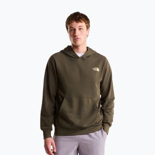 Vyriškas džemperis The North Face Monte Regular Hoodie Graphic new taupe green