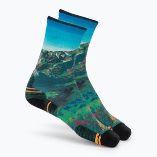 Moteriškos kojinės Smartwool Hike Mountain Lake Print Crew capri