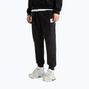 Vyriškos kelnės The North Face Evo Box Half Dome Regular Tappered tnf black