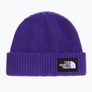Žieminė kepurė The North Face Salty Lined peak purple