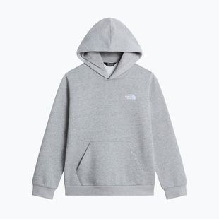 Vaikiškas džemperis The North Face Evolution Simple Dome Pullover Hood tnf pale grey heather