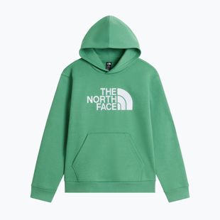 Vaikiškas džemperis The Noryh Face Essential Drew Peak Hoodie dimmed algae