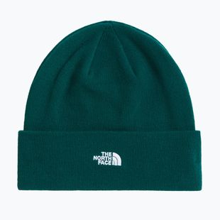 Žieminė kepurė The North Face Norm Beanie hunter green