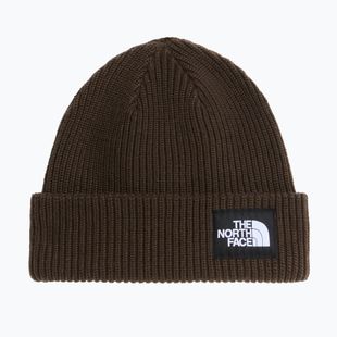 Žieminė kepurė The North Face Salty Lined dark chestnut