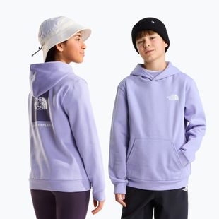 Vaikiškas džemperis The North Face Evolution Box NSE Pullover Hoodies pale plum