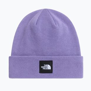 Žieminė kepurė The North Face Dock Worker Recycled Beanie grounded plum