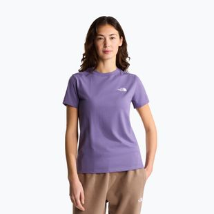 Moteriški marškinėliai The North Face Evolution Simple Dome Slim SS grounded plum