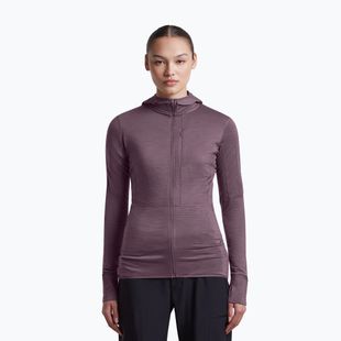 Moteriškas žygio džemperis Icebreaker Merino 200 Realfleece Descender Half Zip Hoodie grey plum