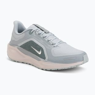 Vyriški bėgimo batai Nike Pegasus 41 GTX light pumice/pure platinum/silt red/metal silver