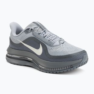 Vyriški bėgimo batai Nike Pegasus Premium Wolf Grey/Cool Grey/Anthracite/Sail