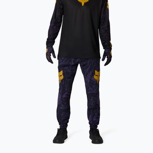 Vyriškos dviračių kelnės Fox Racing Ranger Image Print plum