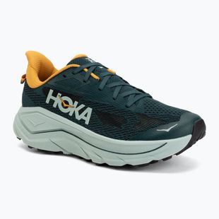 Vyriški bėgimo batai HOKA Challenger 8 bay leaf/sage