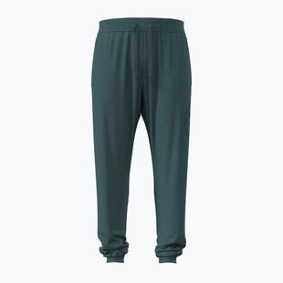 Vyriškos kelnės Under Armour Rival LW Graphic Jogger rack green/black
