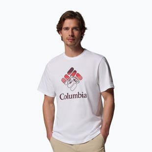 Vyriški marškinėliai Columbia CSC Seasonal Graphic white/heavenly stacked gem