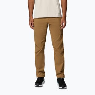 Vyriškos žygio kelnės Columbia Cosmiques Pro Nylon delta