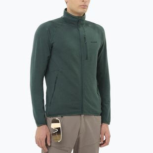 Vyriškas žygio džemperis Salomon Essential Lighwarm Full Zip green gables
