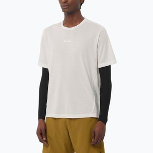 Vyriški marškinėliai Salomon Shakeout Core whisper white