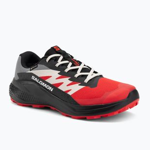 Vyriški bėgimo bateliai Salomon Alphaglide GTX flame scarlet/black/pewter