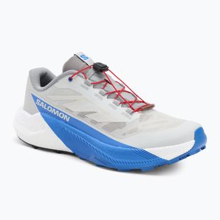 Vyriški bėgimo bateliai Salomon Pulsar lunar rock/white/french blue