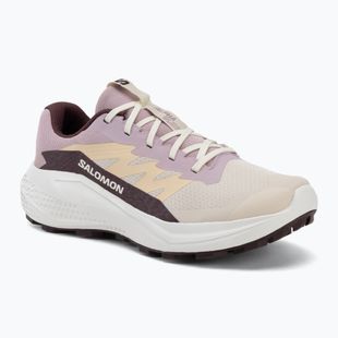 Moteriški bėgimo batai Salomon Alphaglide tapioca/dawn pink