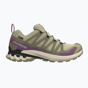 Moteriški bėgimo batai Salomon XA Pro 3D V9 GTX bog/aloe