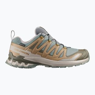 Vyriški bėgimo batai Salomon XA Pro 3D V9 GTX sedona sage/brilliant olive