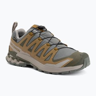 Vyriški bėgimo batai Salomon XA Pro 3D V9 GTX sedona sage/brilliant olive