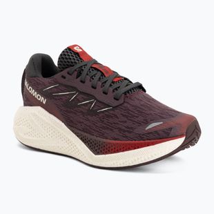 Moteriški bėgimo batai Salomon Aero Glide 4 huckleberry/vanilla ice