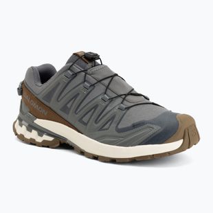 Vyriški bėgimo batai Salomon XA Pro 3D V9 GTX Lifelong sedona sage/coyote brown