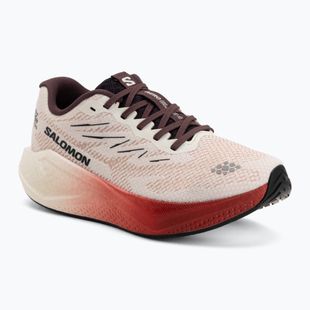 Moteriški bėgimo batai Salomon Aero Blaze 4 vanilla ice/huckleberry