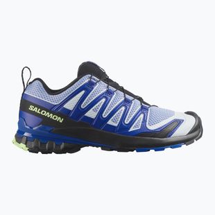 Vyriški bėgimo batai Salomon XA Pro 3D V9 Icon black/brunnera blue