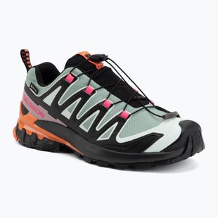 Moteriški bėgimo batai Salomon XA Pro 3D V9 GTX Icon black/green milieu