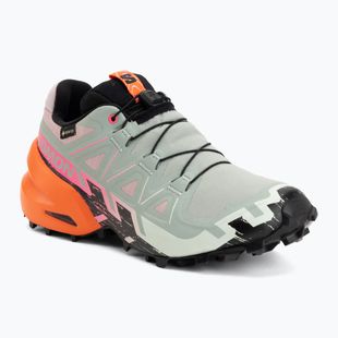 Moteriški bėgimo batai Salomon Speedcross 6 GTX Icon black/green milieu