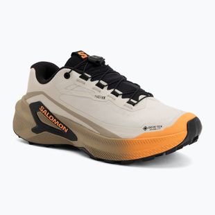 Moteriški bėgimo batai Salomon Genesis 2 GTX rainy day/desert tan