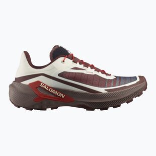 Vyriški bėgimo batai Salomon Genesis 2 vanilla ice/iron