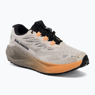Moteriški bėgimo batai Salomon Aero Blaze 4 GRVL GTX rainy day/black